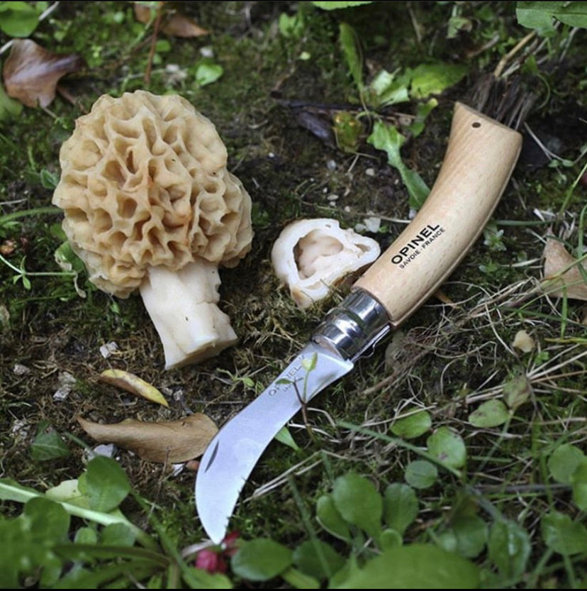 Opinel Foraging Knife